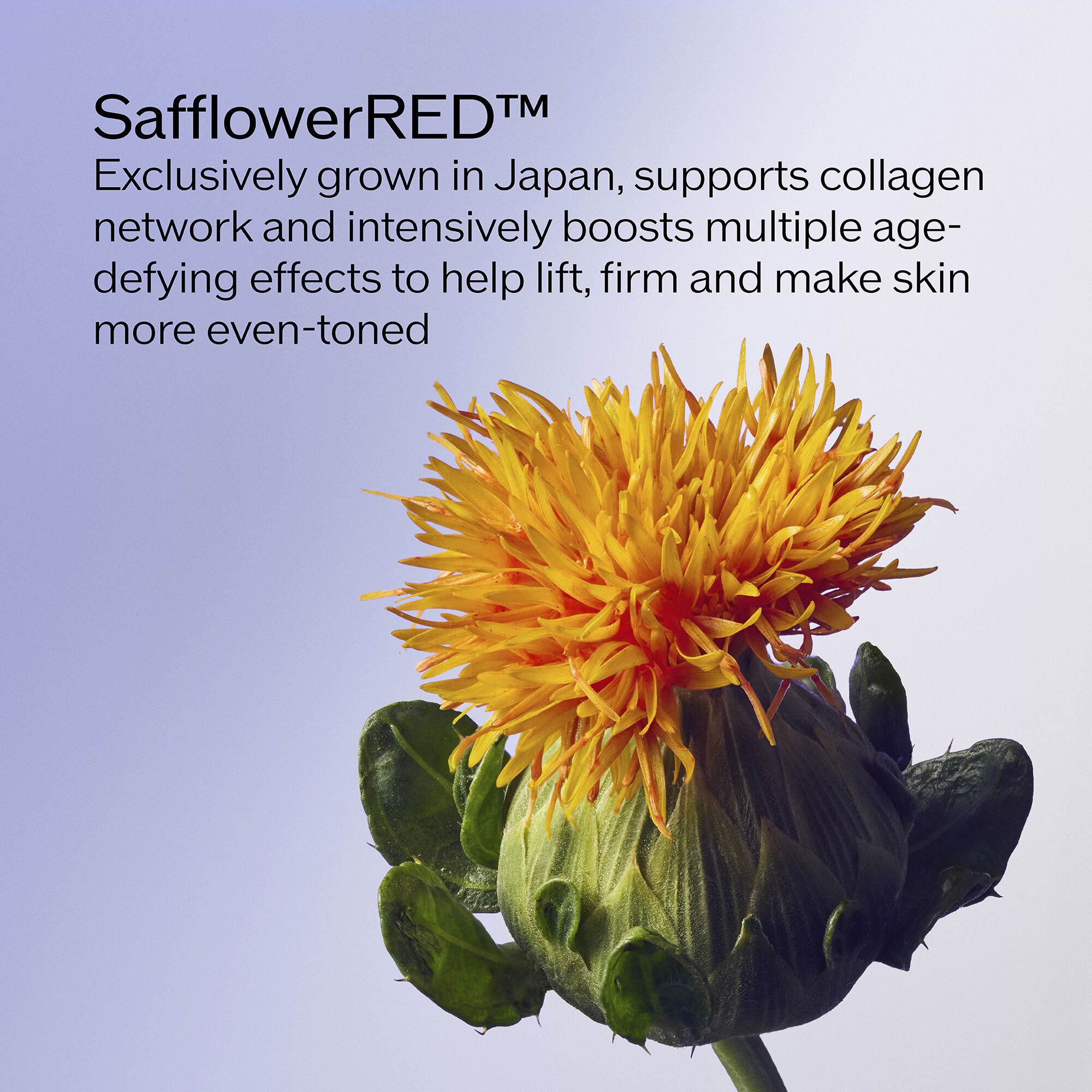 Concentrated Supreme Cream, 