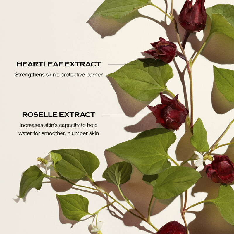 Radiance-Boosting Regimen Set ($229 Value), 