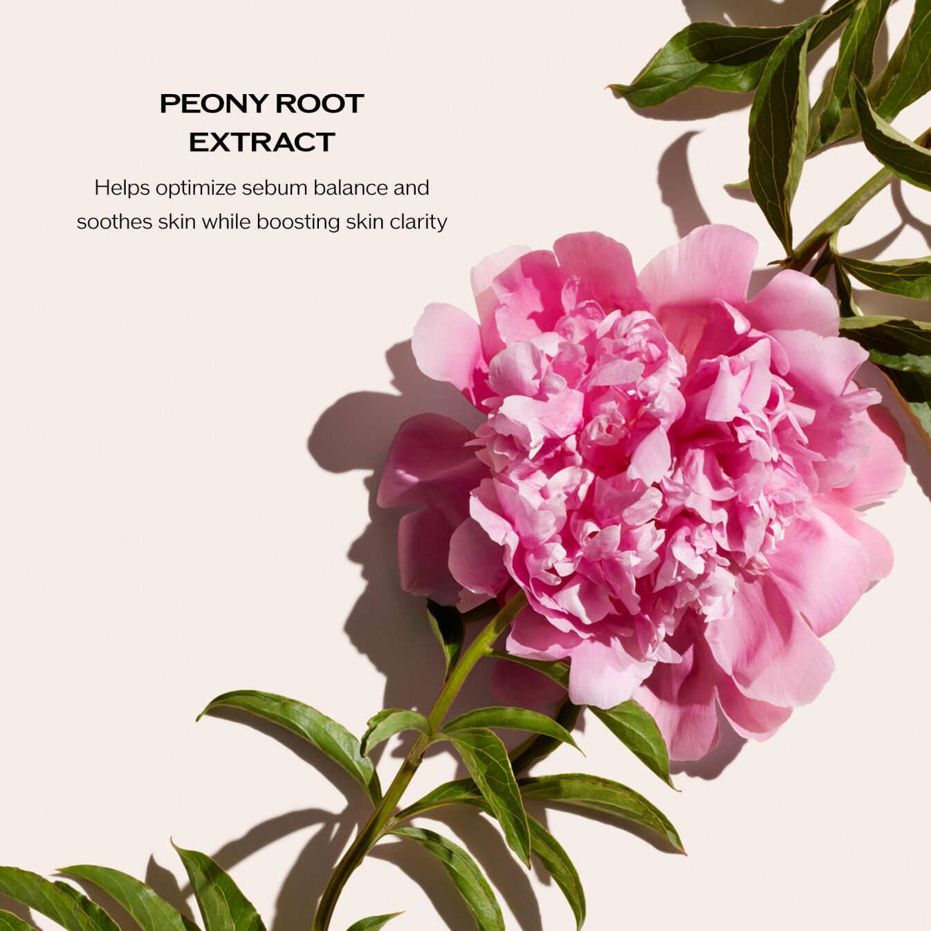 Deep Cleansing Foam | Shiseido.com