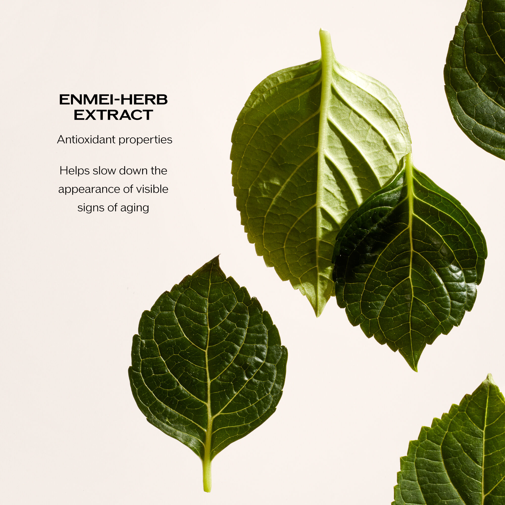 Concentrated Balancing Softener,