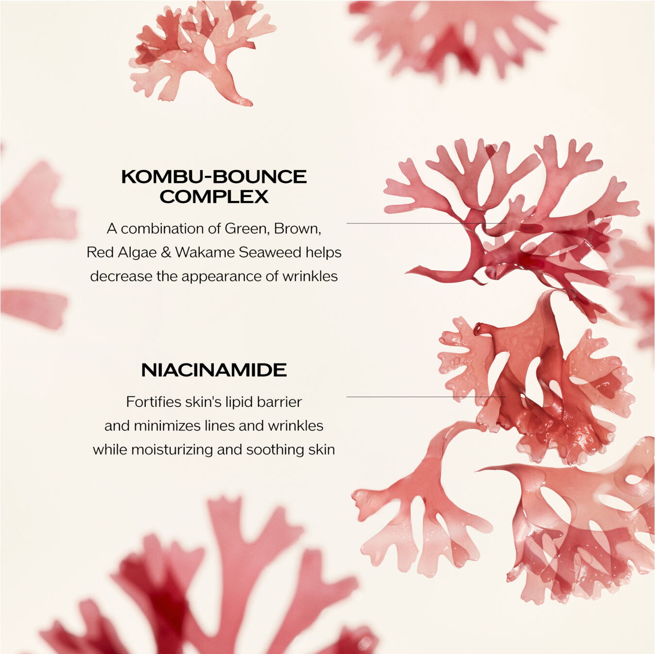 Wrinkle Smoothing Cream Enriched – Benefiance | SHISEIDO