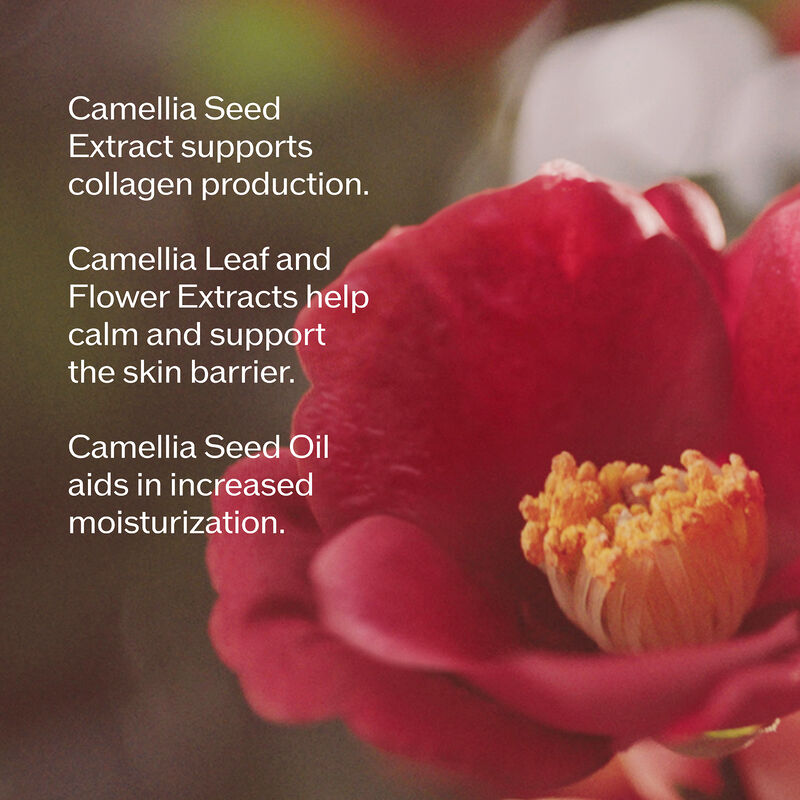 Power Infusing Serum, 