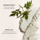 Clarifying Cleansing Foam,