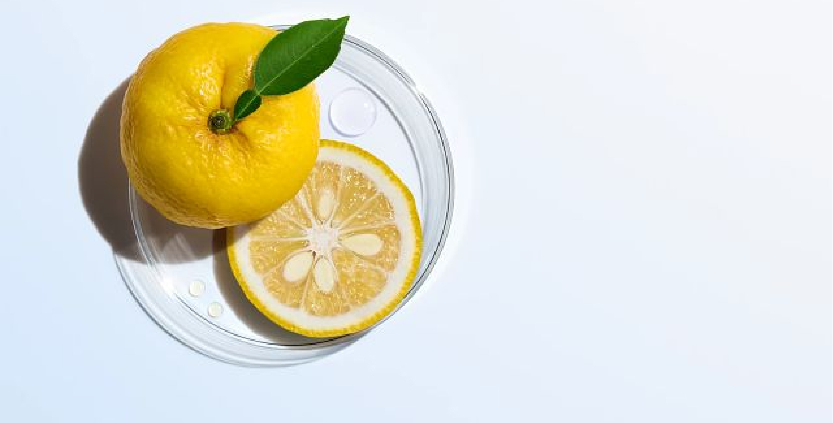 Ingredient: Yuzu Extract, Japanese Citrus from Koch