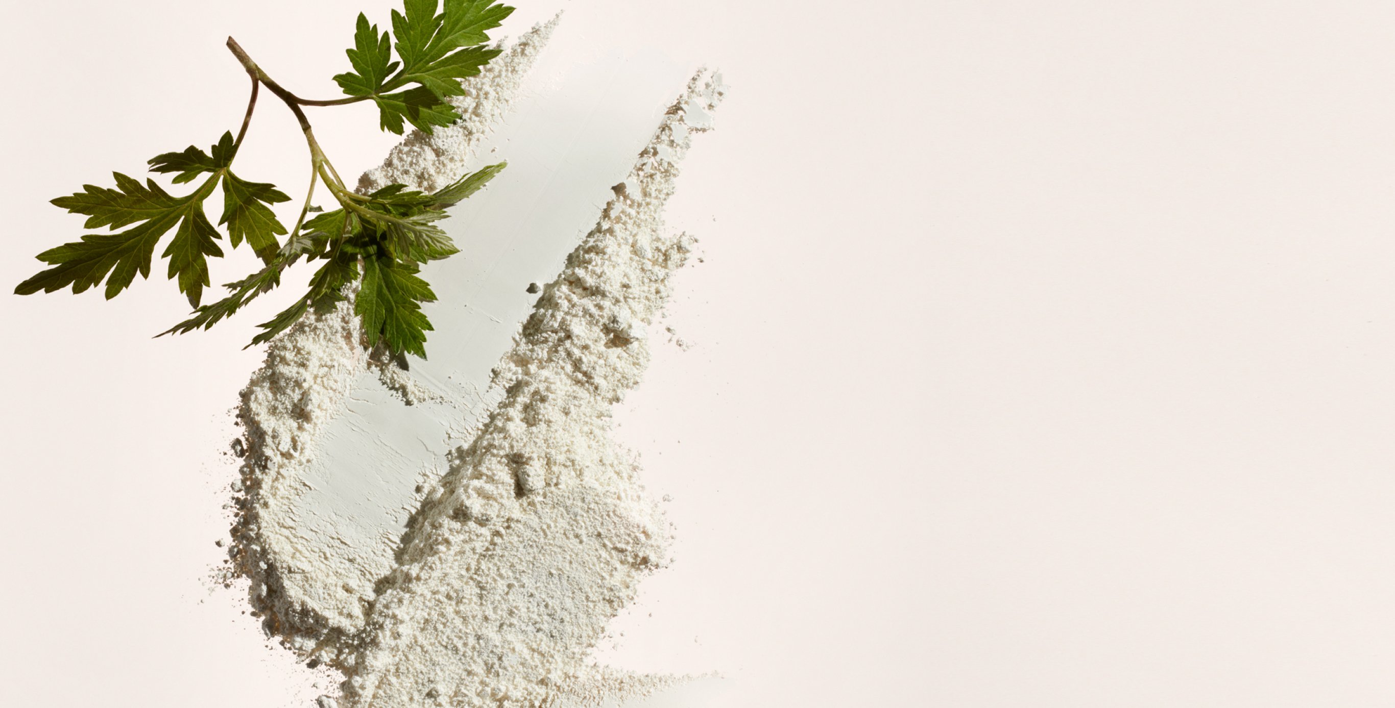 Ingrediente: Arcilla blanca