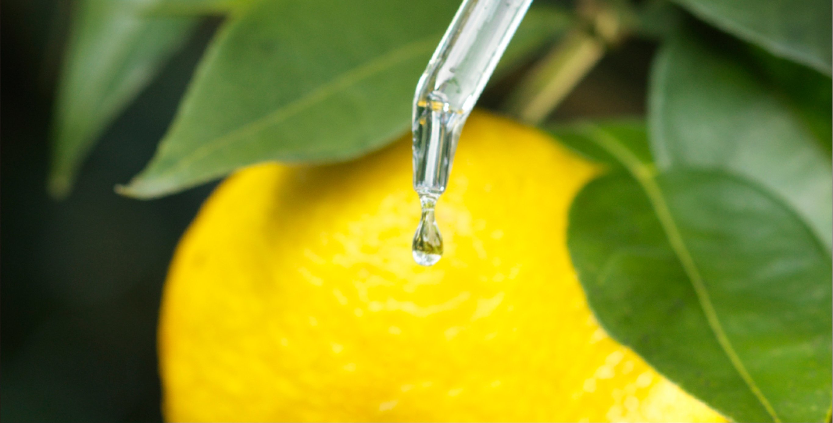 Ingredient: Superfood Oil Blend (Grapeseed Oil, Rosehip Oil, Sunflower Oil)