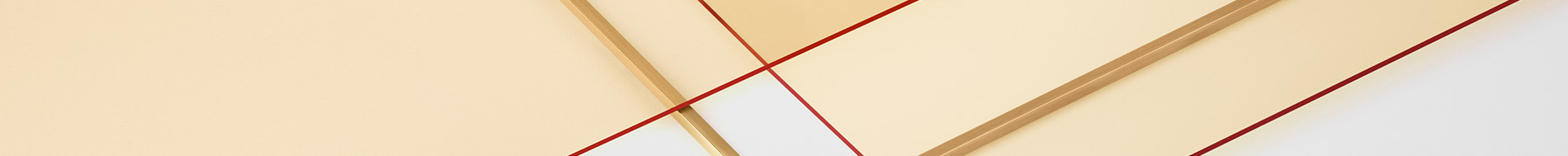 PLP Banner Black Friday