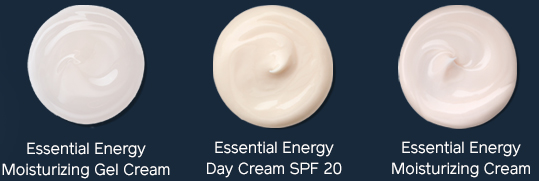 à¸à¸¥à¸à¸²à¸£à¸à¹à¸à¸«à¸²à¸£à¸¹à¸à¸à¸²à¸à¸ªà¸³à¸«à¸£à¸±à¸ Shiseido Essential Energy Moisturizing Gel Cream 50ml.