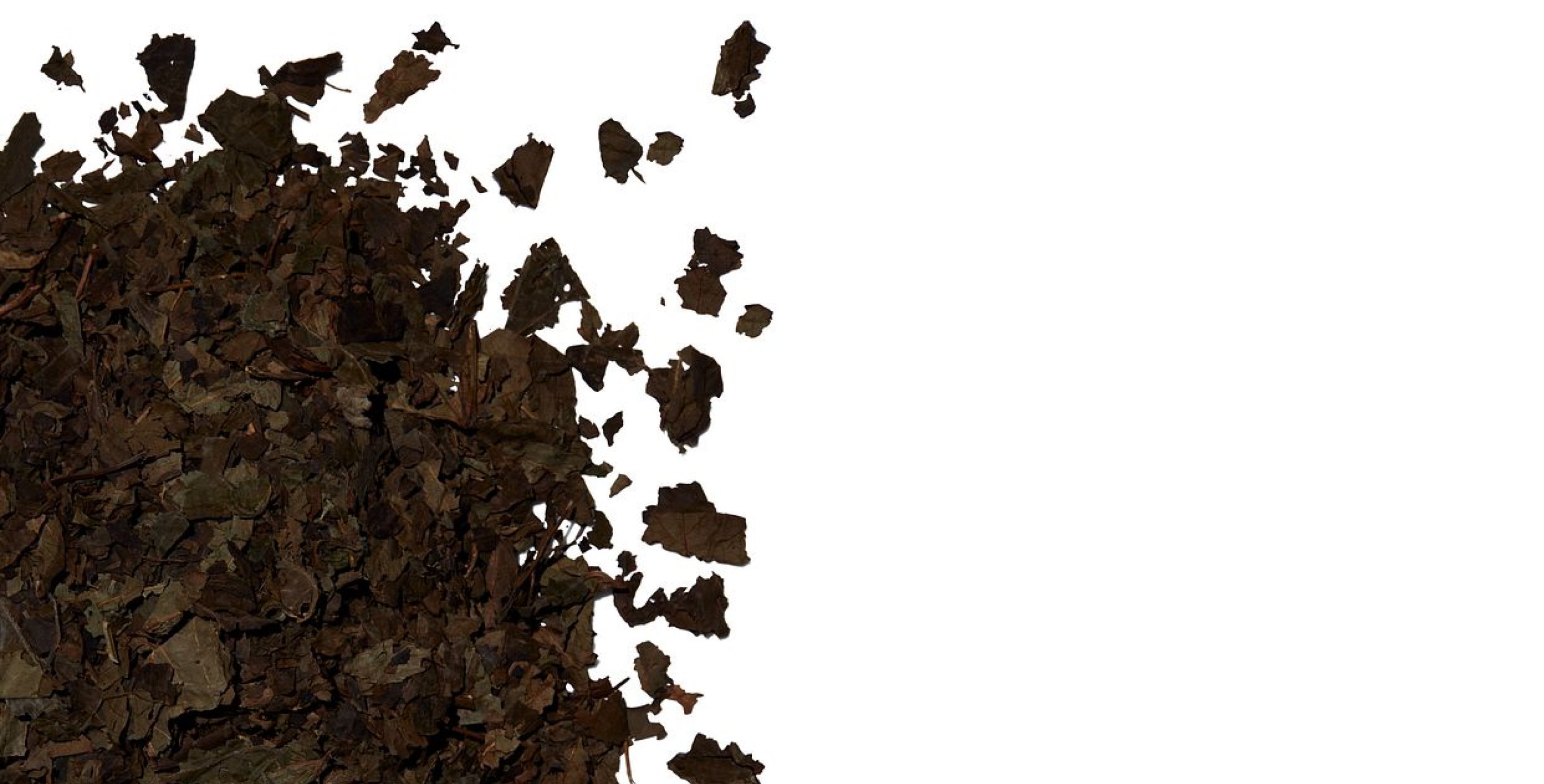 成分：TENCHA R.E.M.