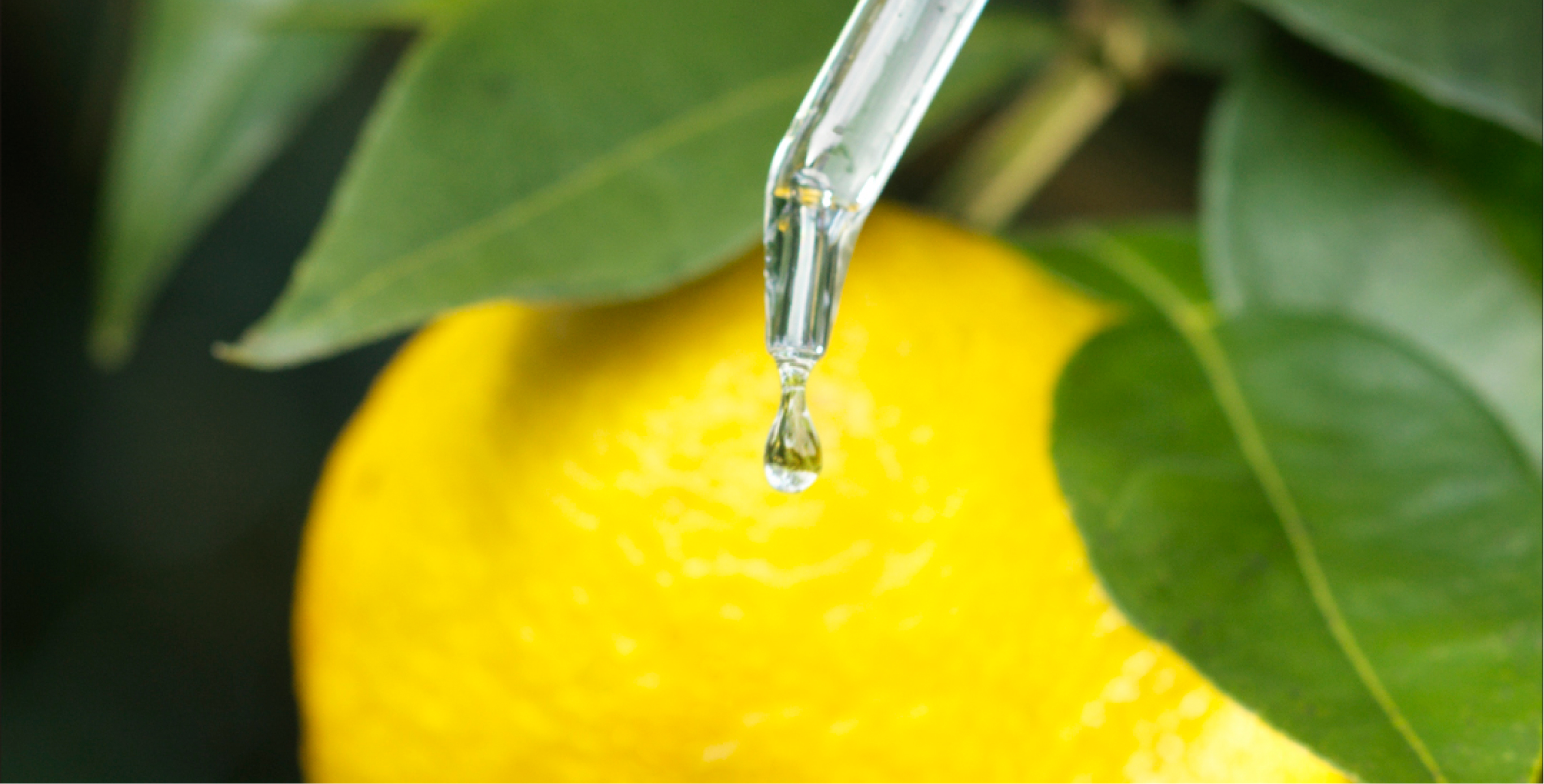 Ingredient: Superfood Oil Blend (Grapeseed Oil, Rosehip Oil, Sunflower Oil)
